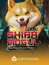 Shiba Mogul