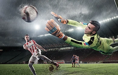 SBO Sports sports betting markets